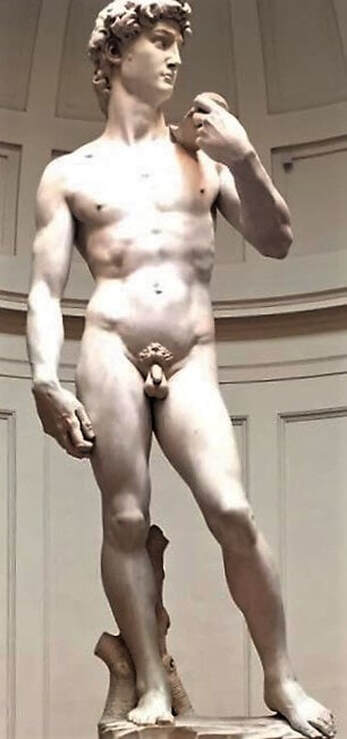Statue of David by Michelangelo in Florence by Michelangelo