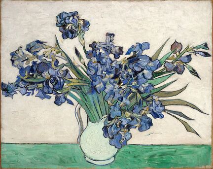Irises by Vincent van Gogh in the Metropolitan Museum of Art in New York