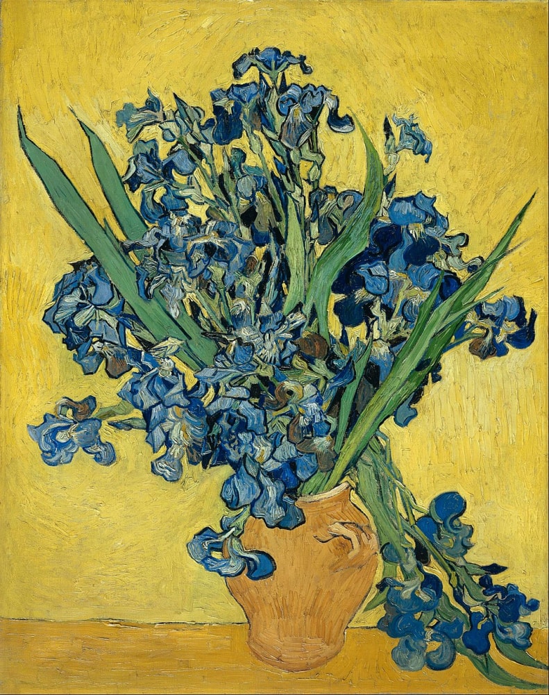 Irises by Vincent van Gogh in the Van Gogh Museum in Amsterdam