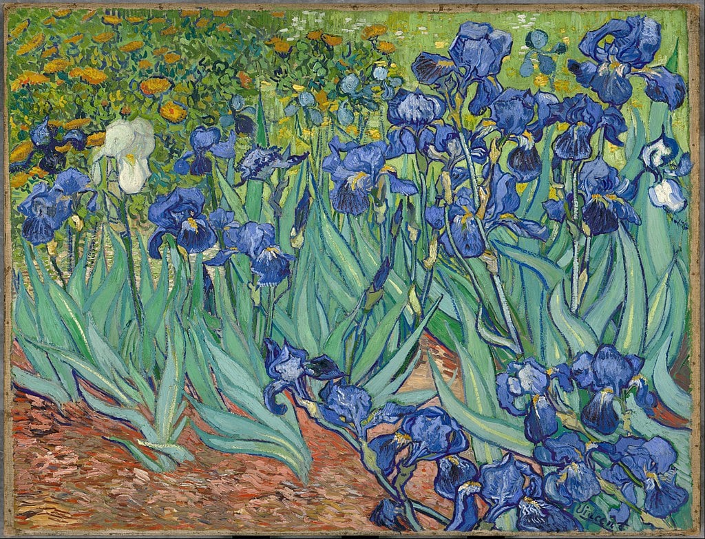 Irises by Vincent van Gogh in the J. Paul Getty Museum in Los Angeles